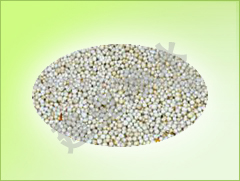 ϡ����ɰ�V��