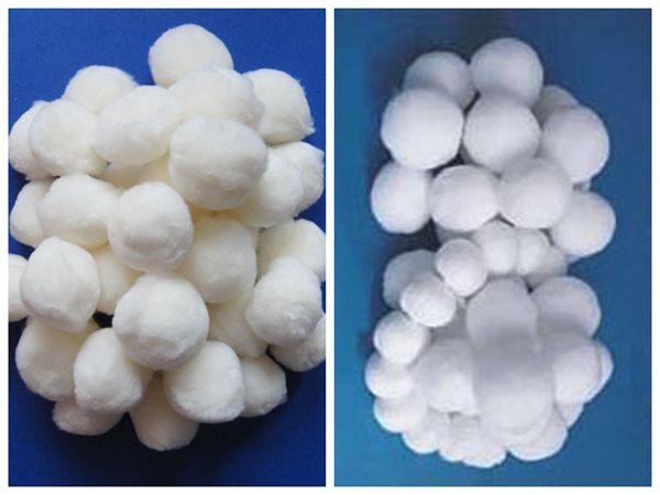 �w�S��V��